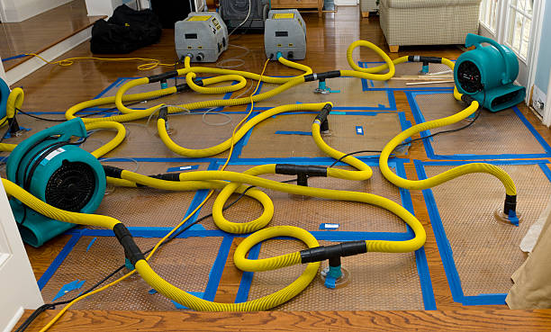 Professional Crawl Space Water Removal technician working in Kyle, TX